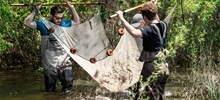 Biology academics standing in water holding a net