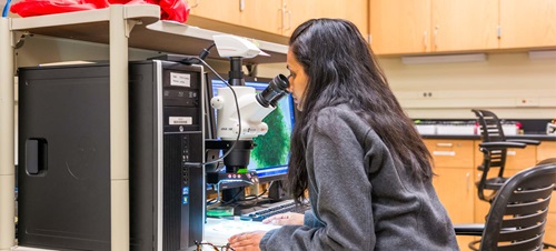 Woman student at microscope computer monitor display.