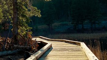 A wide wooden path through trees and prairie land.