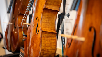 An up-close photo of three cellos. 