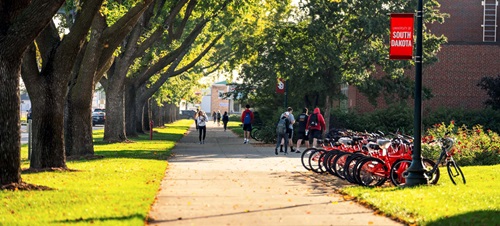 Students Walking on Sidewalk Through Campus