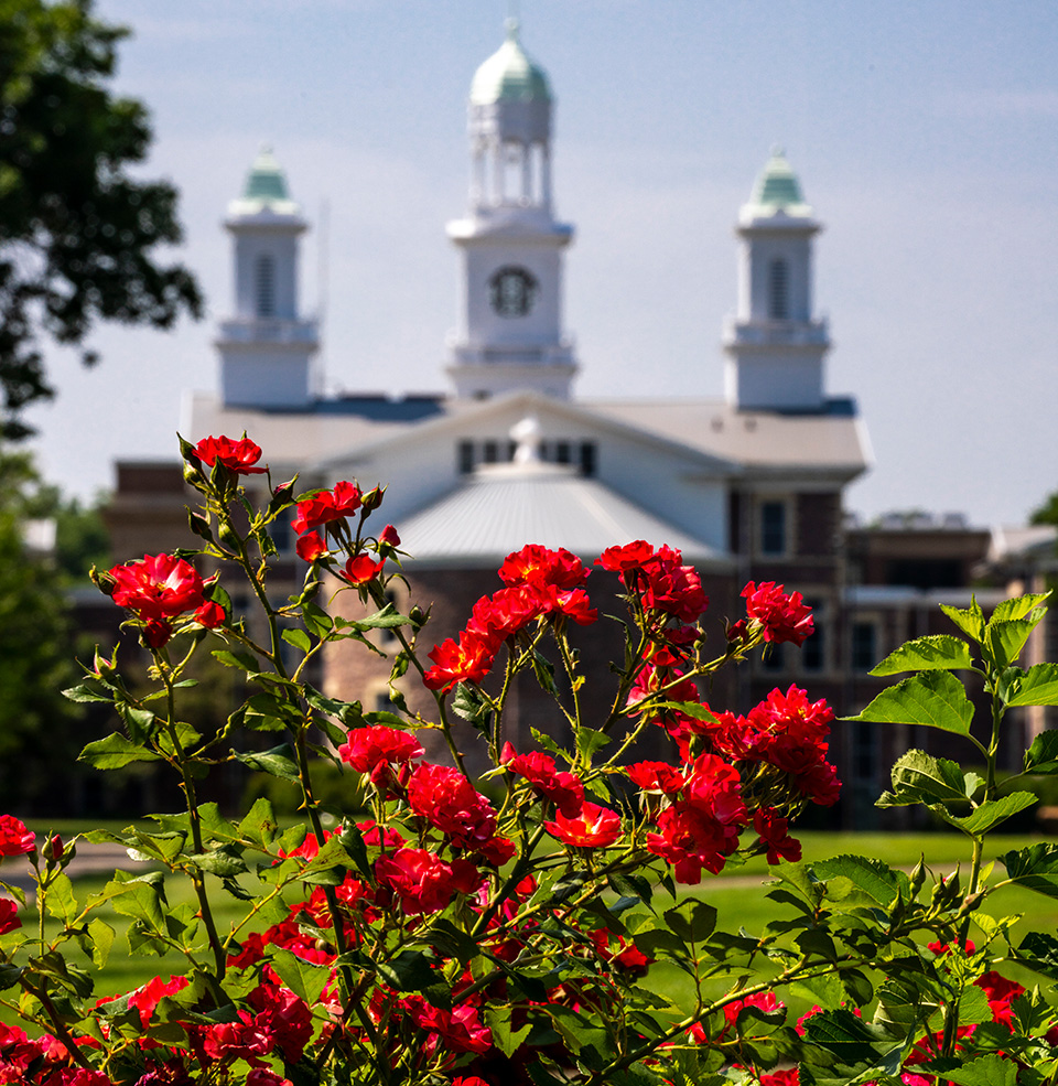 Detailed shot of red flowers outside of Old Main