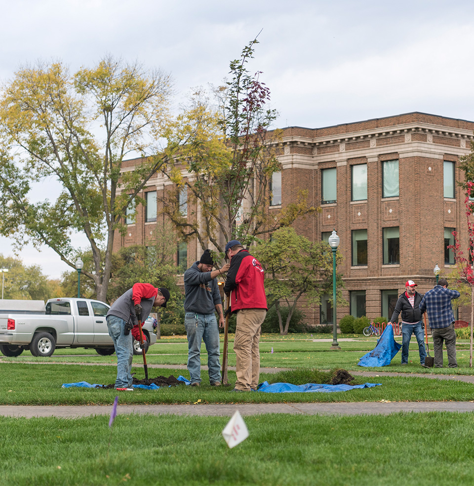 Trees being planted on USD Vermillion's Campus