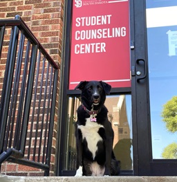 USD's emotional service dog Jellybean sitting and smiling in front of the Student Counseling Center Entrance.