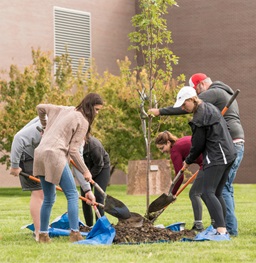 USD students planting a sapling tree on the main campus lawn.