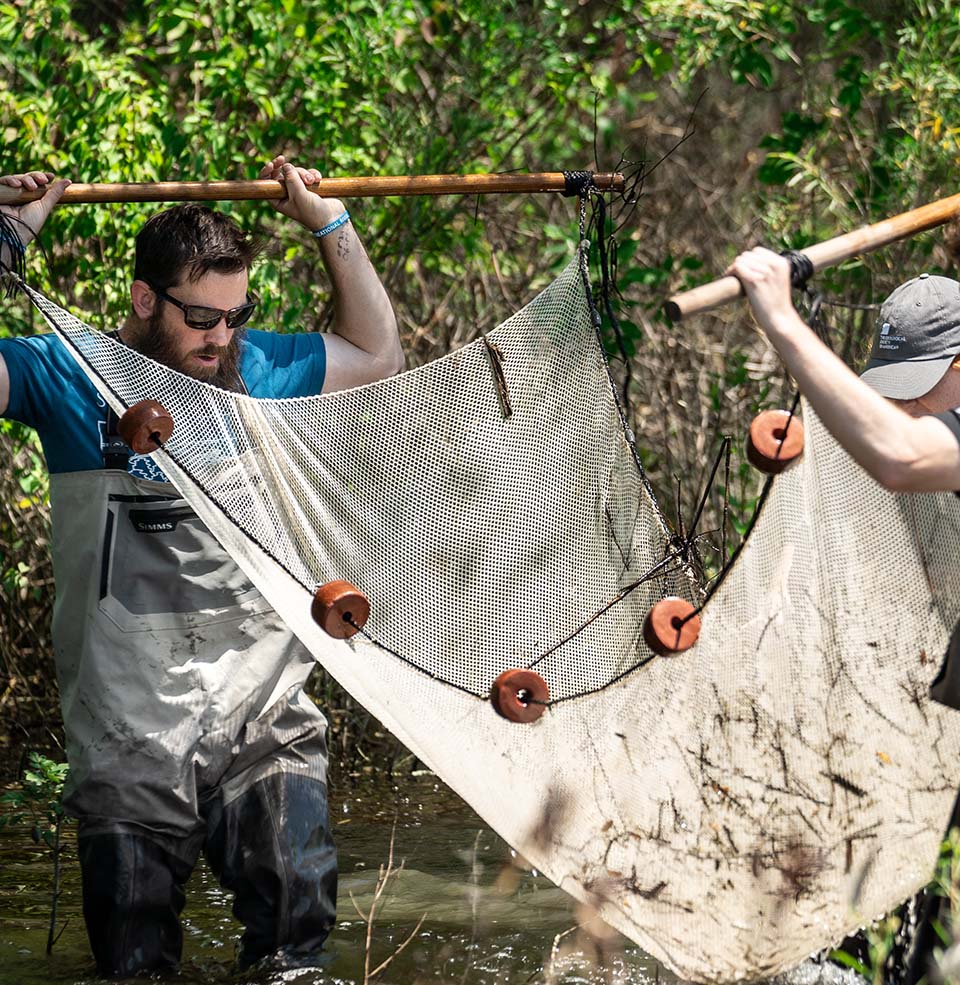 Students doing field research outdoors.