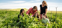 Faculty and students researching on Spirit Mound near Vermillion