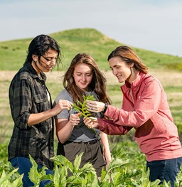 Students and teacher look at a plant out in a field.