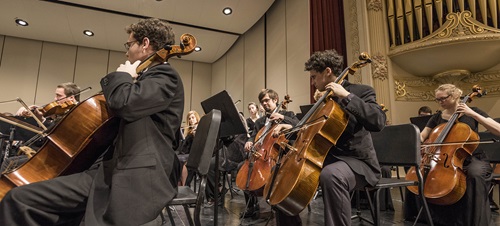 the cello section of the USD Symphony