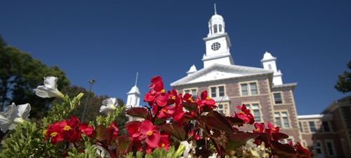 Blooming flowers in front of Old Main during the day.