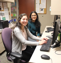Two Medicine students typing on a computer together.