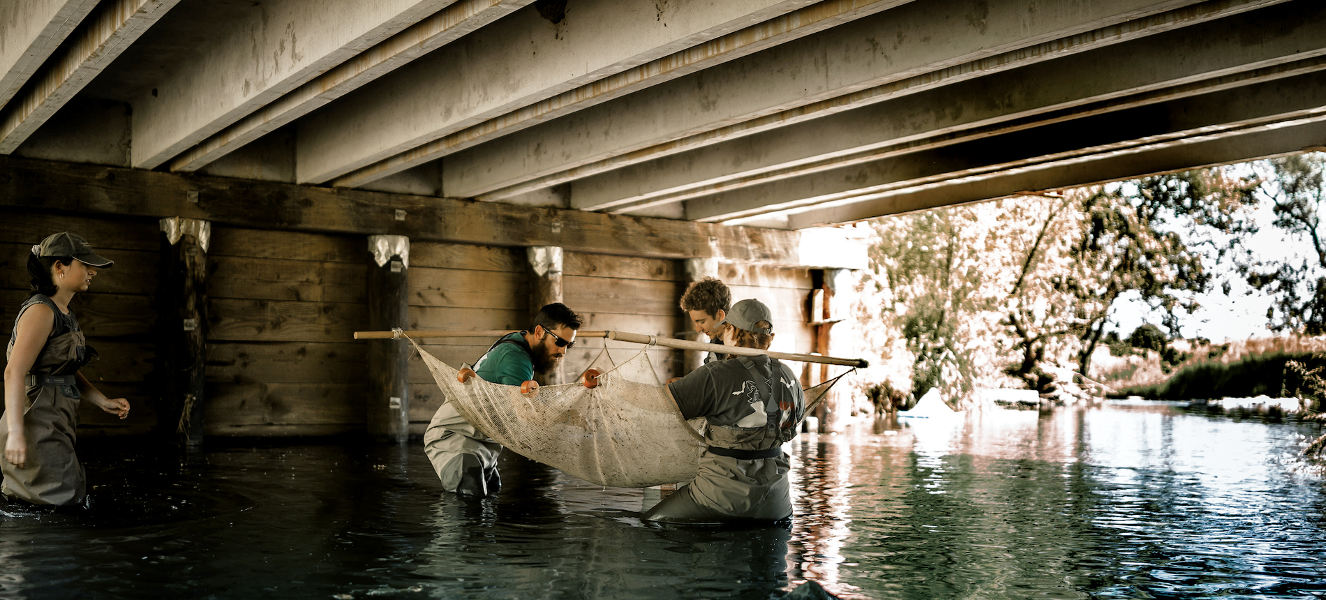 Students standing a river collecting samples.