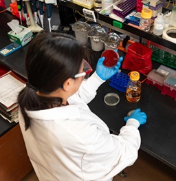 A BBS student with her back to the camera working with petri dishes in a lab.