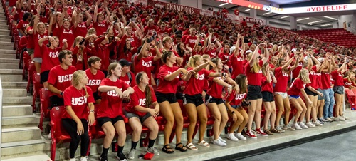 Students in Stadium Stands Doing the Wave.