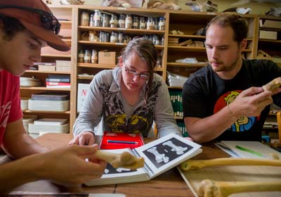 Students Working in the ARCHLAB