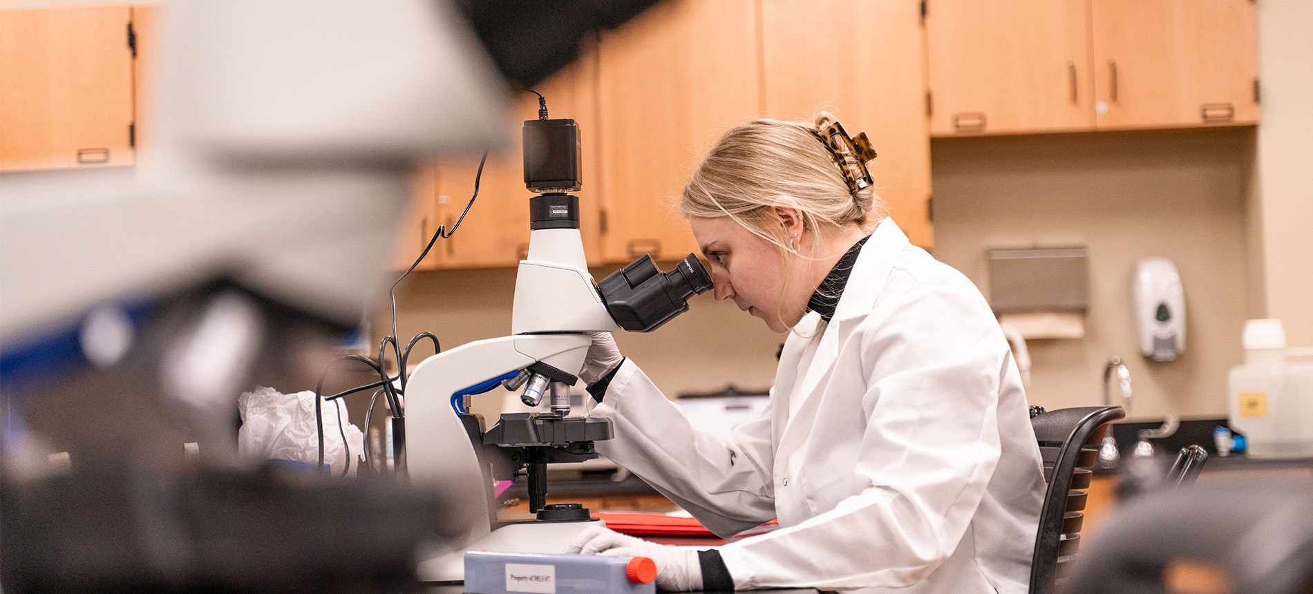 Female with hair tied back in a white lab coat looking into a microscope