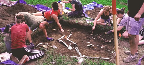 Students conducting forensic anthropology field research.