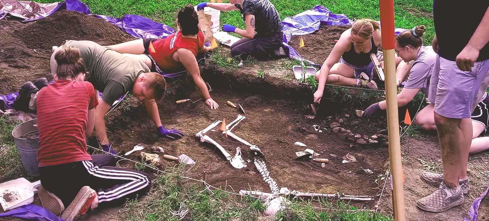 Undergraduate Forensic Anthropology University of South Dakota Undergraduate Forensic Anthropology University of South Dakota