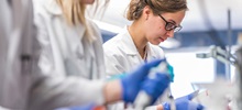 GEAR, biomedical engineering, lab work, arts & sciences.