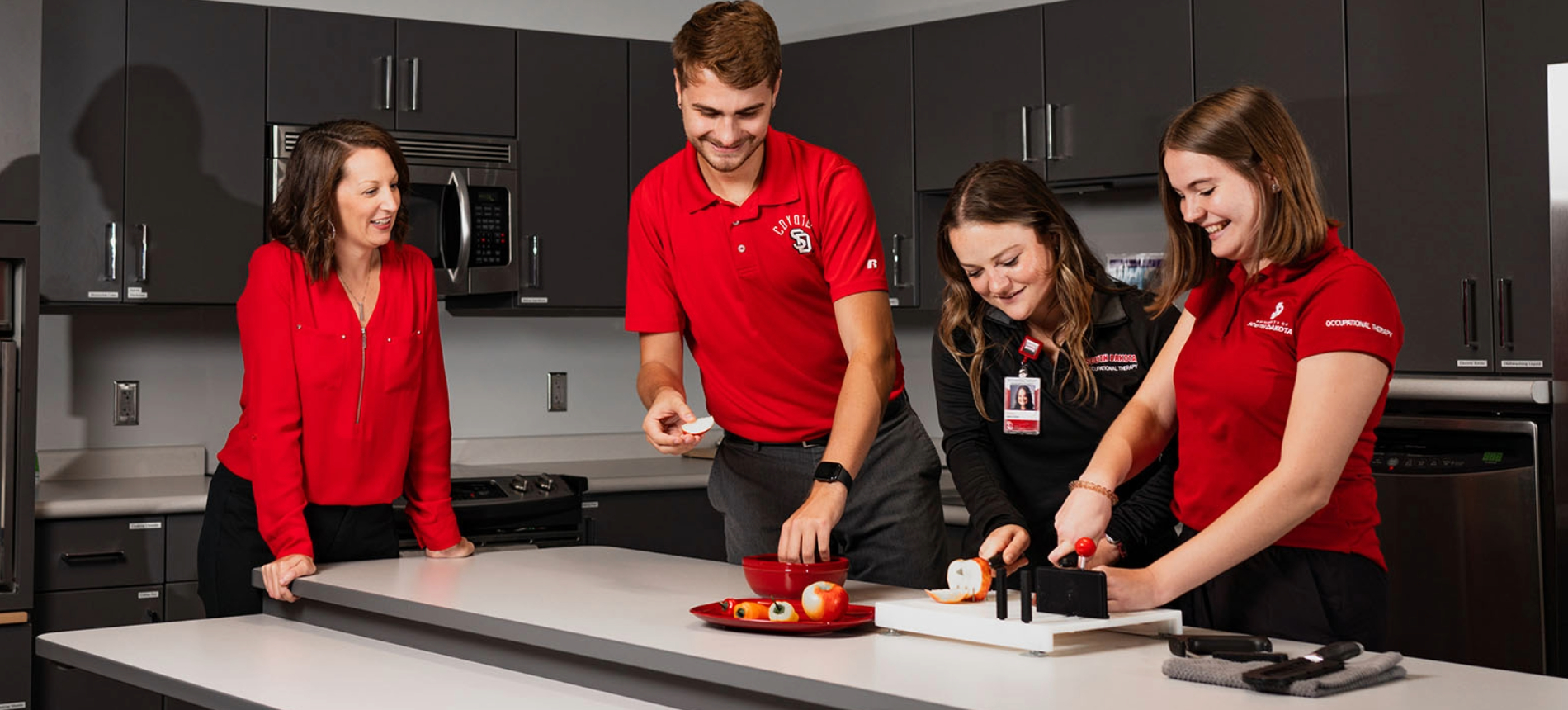 PreOccupational Therapy University of South Dakota