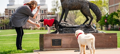 A woman training two dogs in front of the USD legacy statue.