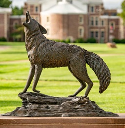 Coyote Legacy Statue