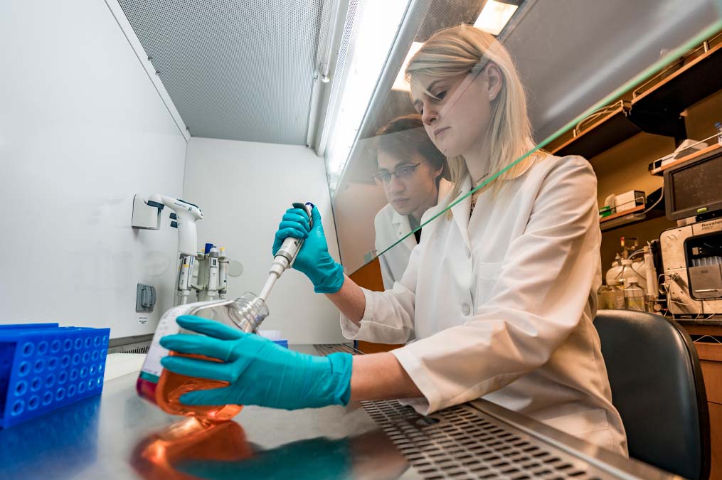 Two Students Working in a Research Lab