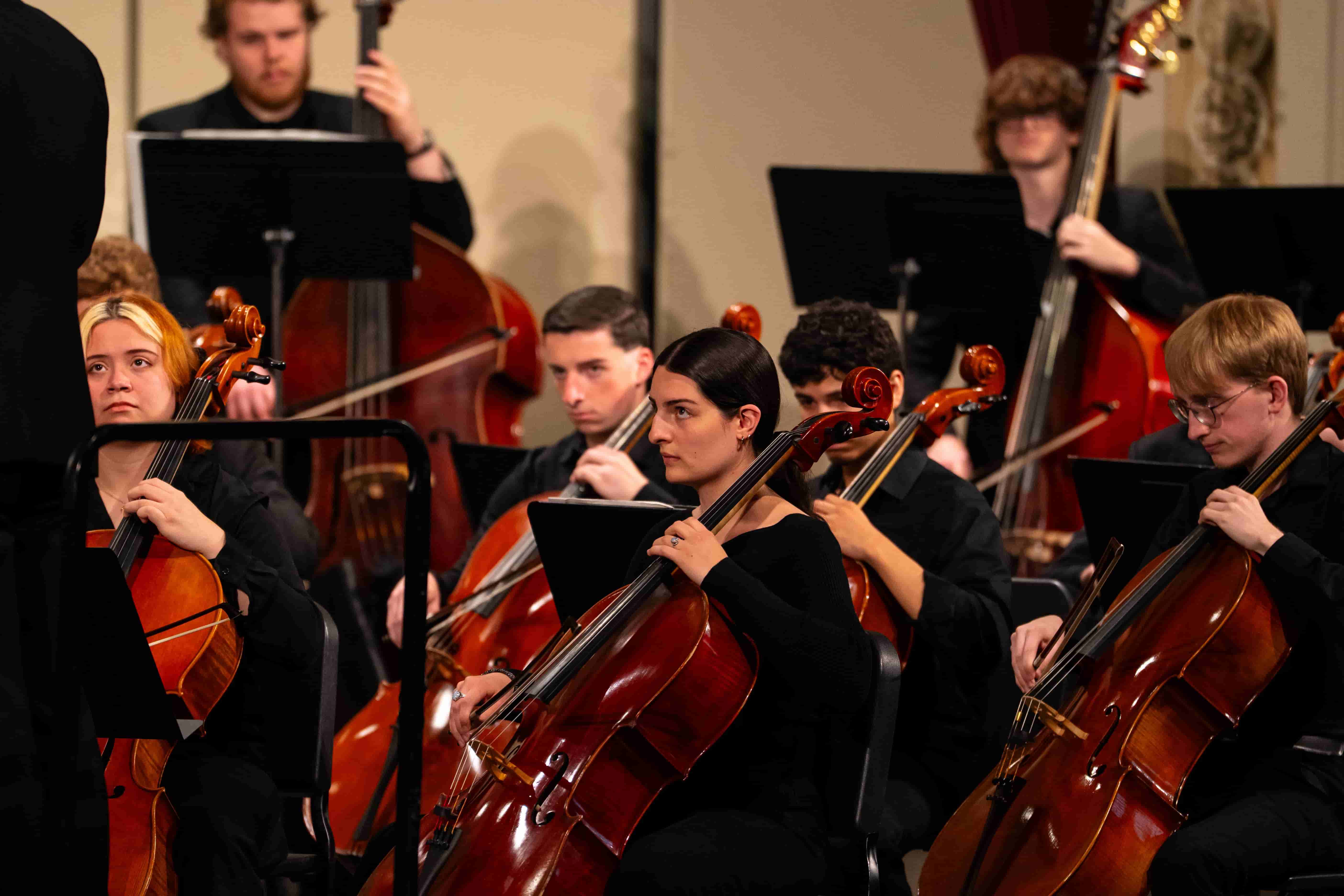 String musicians in black concert attire play cellos and basses onstage, bows moving across polished instruments in a focused, formal performance.