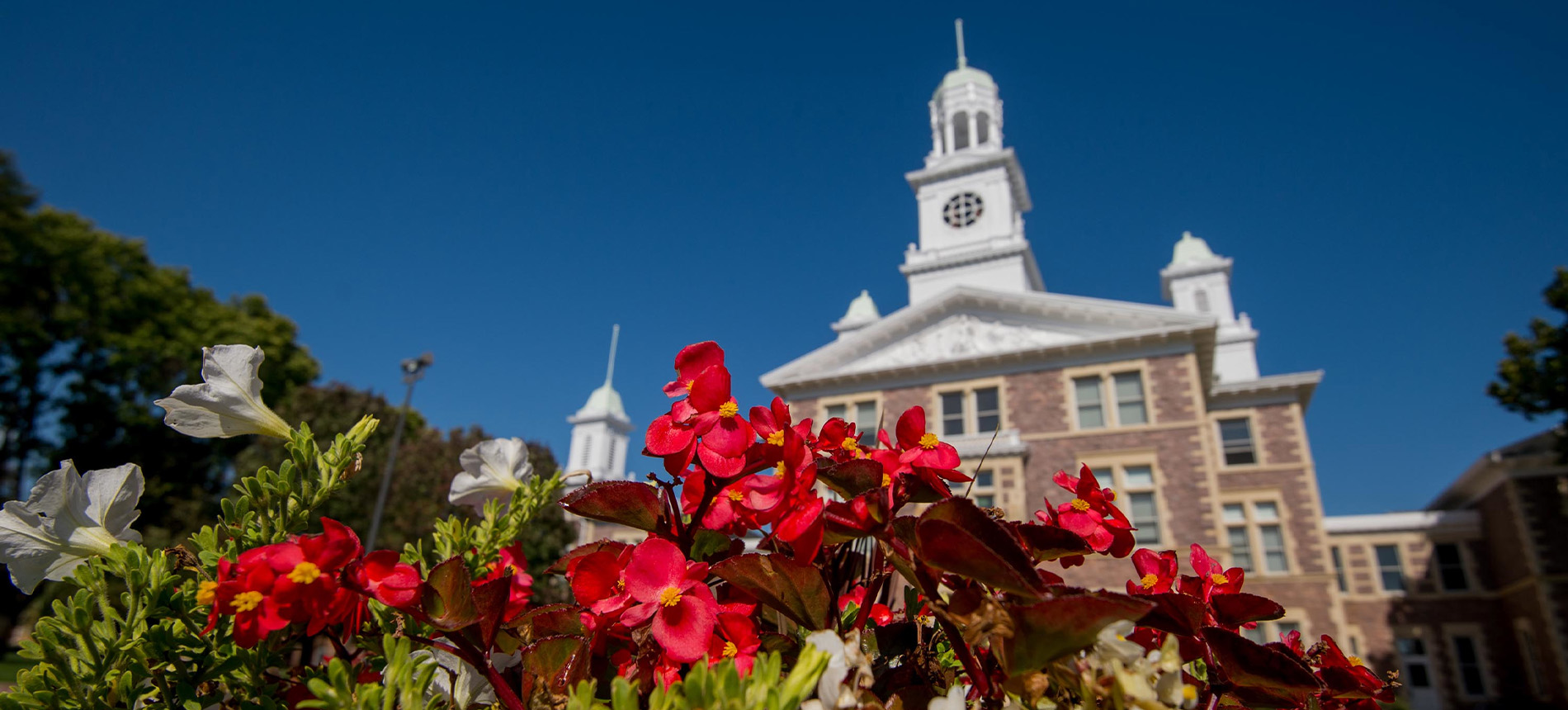 Old Main during the day with blooming spring flowers.