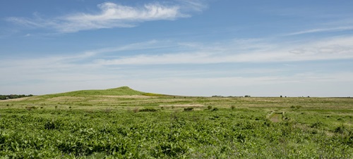 An open grassy field during the day.