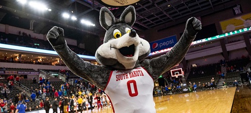 Charlie Coyote holding his arms up in front of the crowd at a basketball game.
