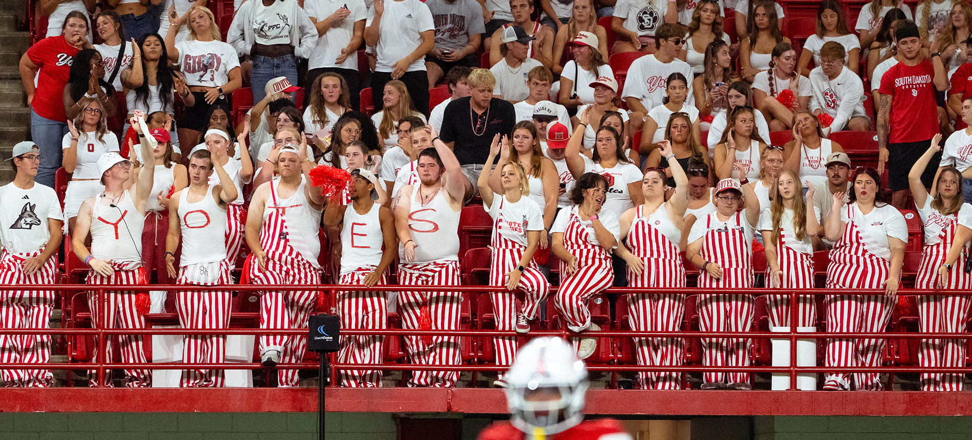 A line of coyote crazies with Yotes spelled out on their shirts