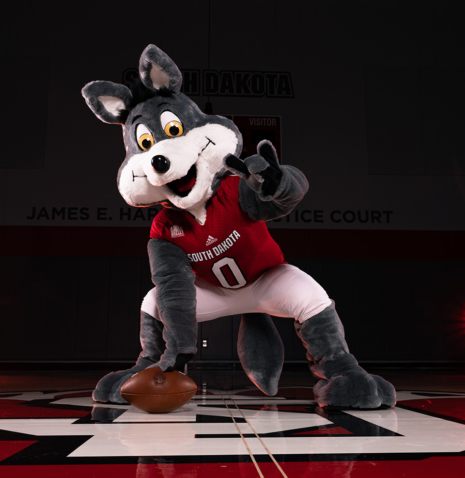 Charlie Coyote in his football jersey holding a football like a long snapper on the SD standard logo at the Sanford Coyote Sports Center