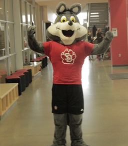 Charlie Coyote posing in the wellness center.