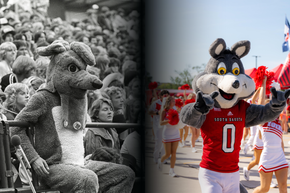 side by side of charlie coyote mascot