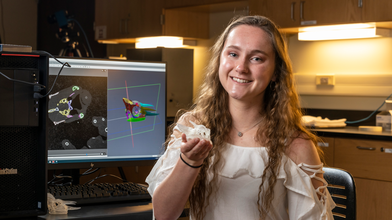A student sits in a lab and holds up a transparent 3D printed chameleon skull. Behind her is a computer screen with a color-coded model of the skull on the screen.