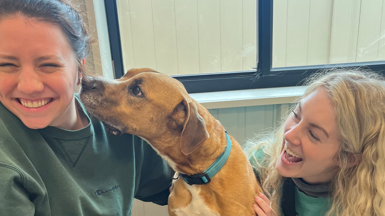 Two law students laugh and smile while playing with a puppy. The puppy is licking one of the students' face while the other student laughs.