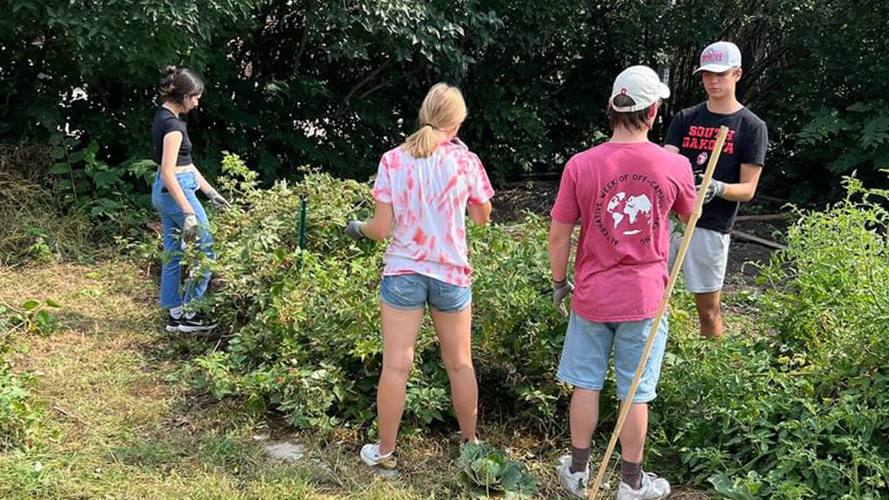 Four students stand and work in a green garden.