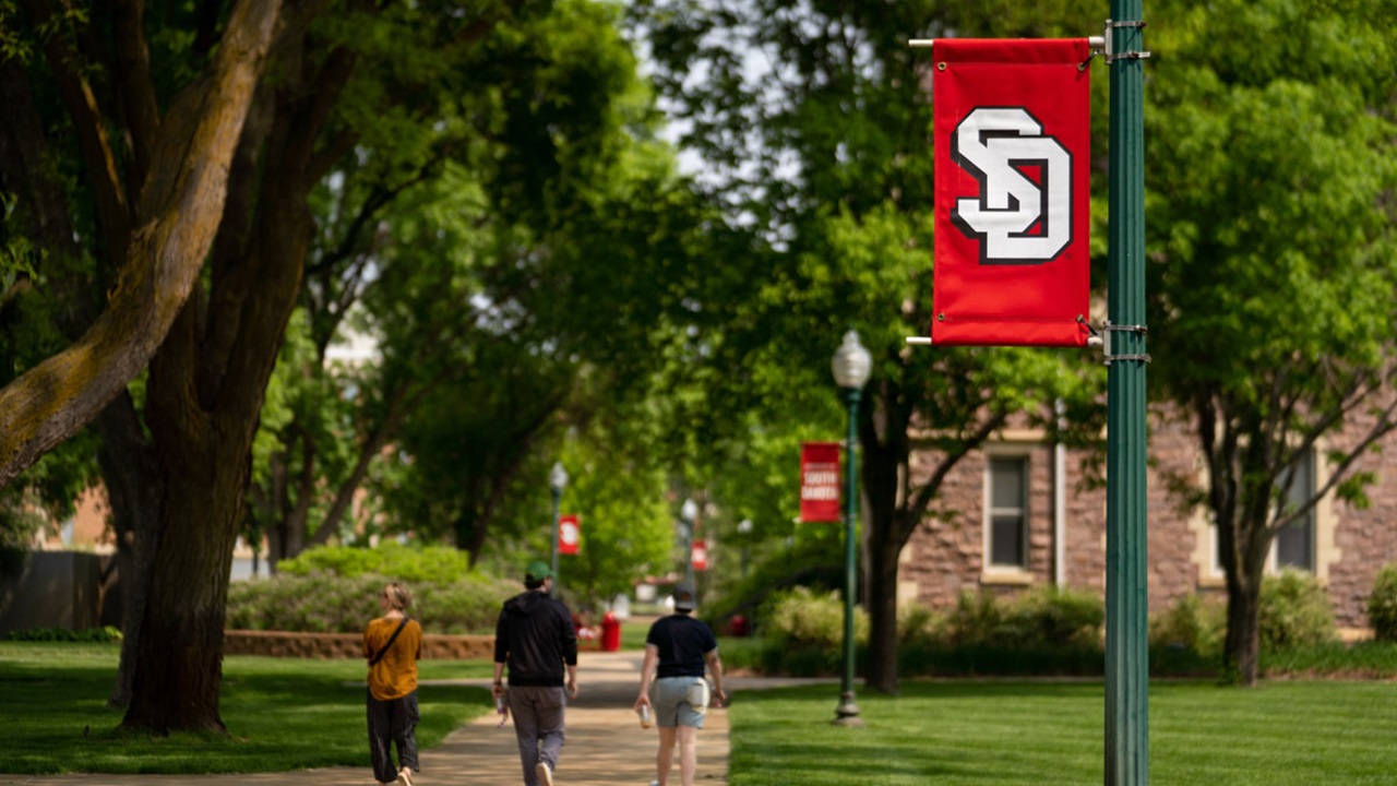 Students walking on campus in summer