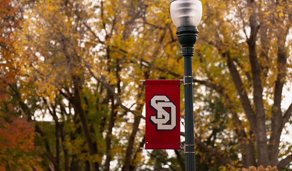 A red banner with the USD logo is attached to a light pole, with fall colored trees in the background.
