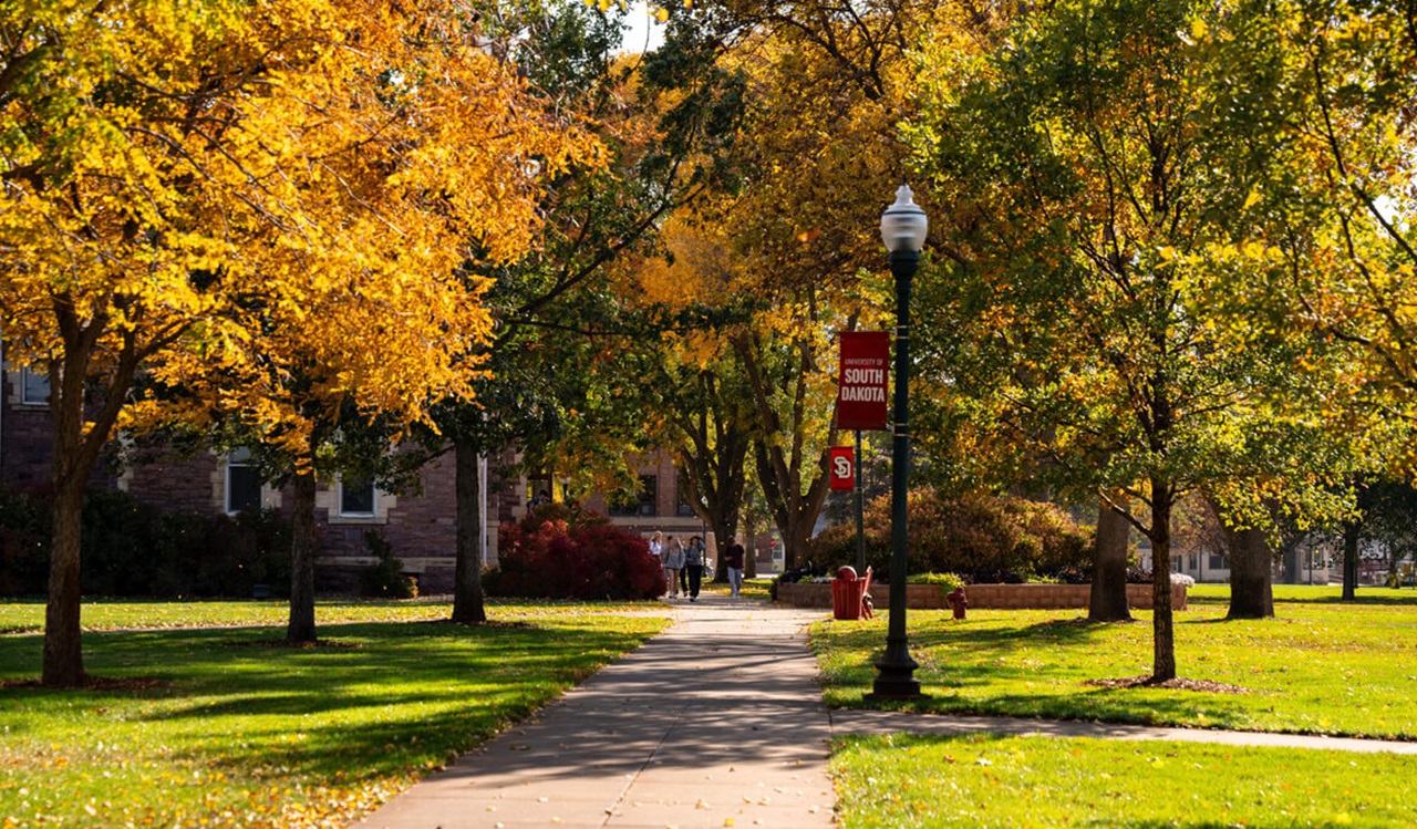 USD students walk across campus, surrounded by fall colored trees and green grass, with a USD flag attached to a light pole in the foreground.