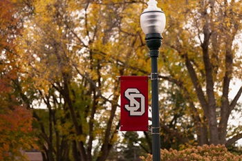 A red banner with the white interlocking “SD” logo of USD hangs from a lamppost, with autumn trees full of yellow and orange leaves in the background.