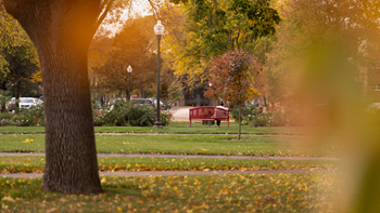 A student sits on a red bench, along a tree-lined path in a park with autumn leaves scattered on the grass and warm sunlight filtering through the trees.