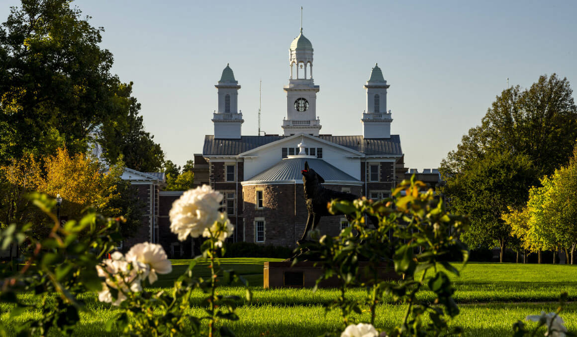 Bright white flowers sit in the forefront, with the USD Coyote Legacy statue in the background, sitting in front of Old Main with surrounding green trees, grass and plants, along with a blue sky.