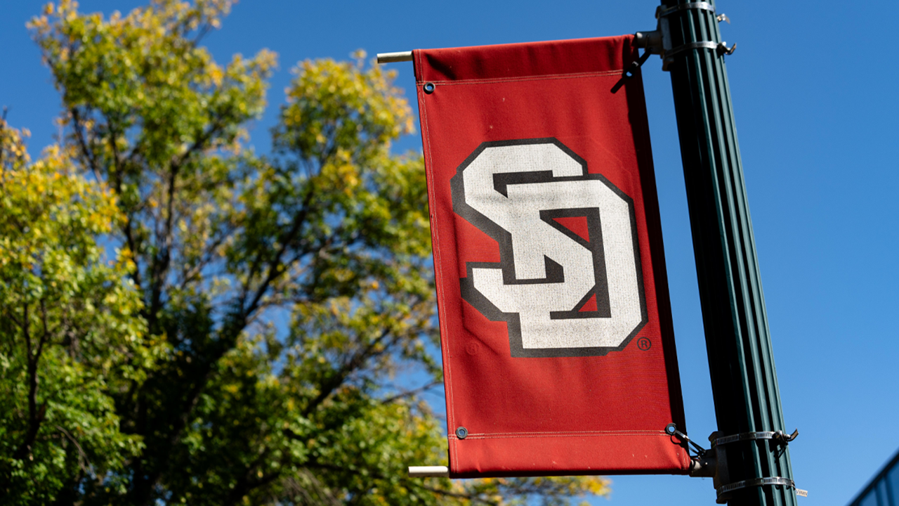 A red, vertical banner with the USD logo, in white, is attached to a light pole and sits against a clear, blue sky with a green tree in the background.