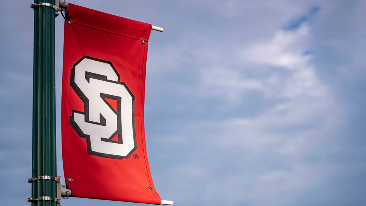 A red USD flag is attached to a green light pole with a background of a blue sky.