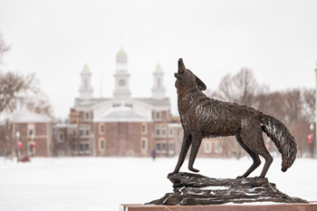 The statue of a Coyote sits on a snowy USD campus.