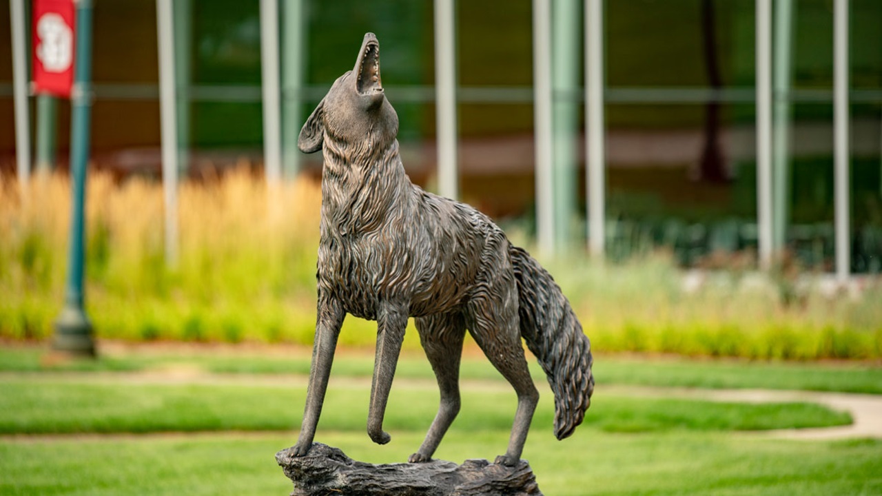 Coyote state sits on the USD campus on a sunny day.