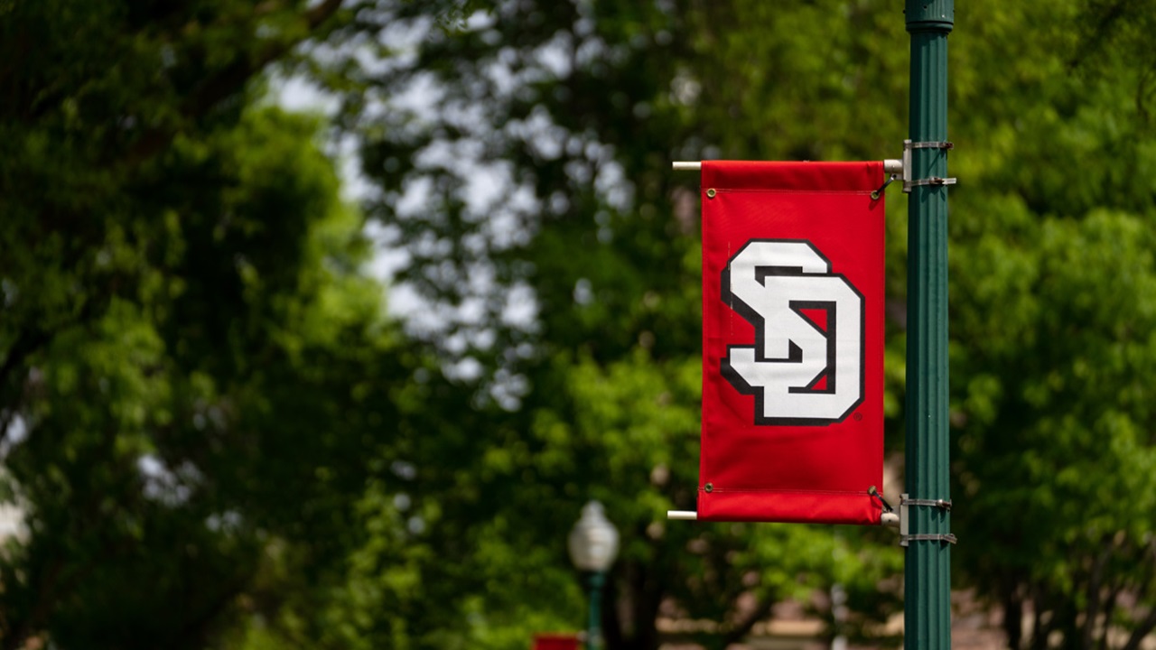 A red banner of the University of South Dakota is attached to a green light pole with a background of green trees and a building on campus.