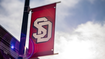 A red, USD banner attached to a light pole, with the shining sun behind it.